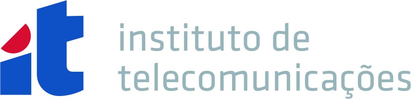 IT logo